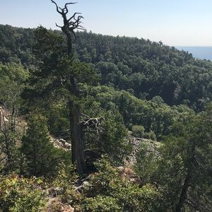 Meet your Posher, Philip